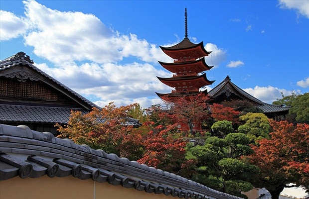 ศาลเจ้ามิยะจิมะและอิทสึคุชิมะ(Miyajima・Itsukushima Shrine)